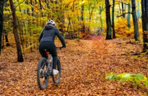 Movement Builds Balance