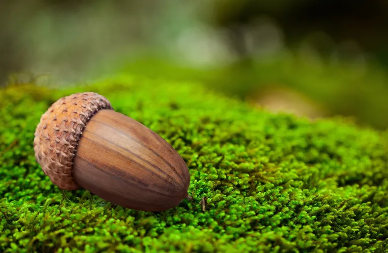 The Power of Quiet Beginnings