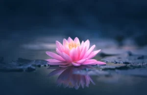 Growth Through Struggle