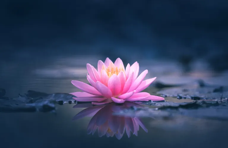 Growth Through Struggle