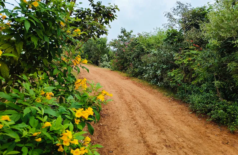 Hidden In Plain Sight