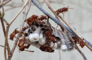 When Teamwork Just Works